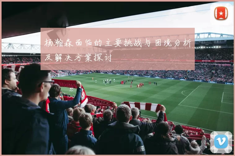 杨瀚森面临的主要挑战与困境分析及解决方案探讨