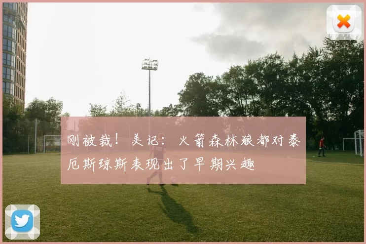 刚被裁！美记：火箭森林狼都对泰厄斯琼斯表现出了早期兴趣
